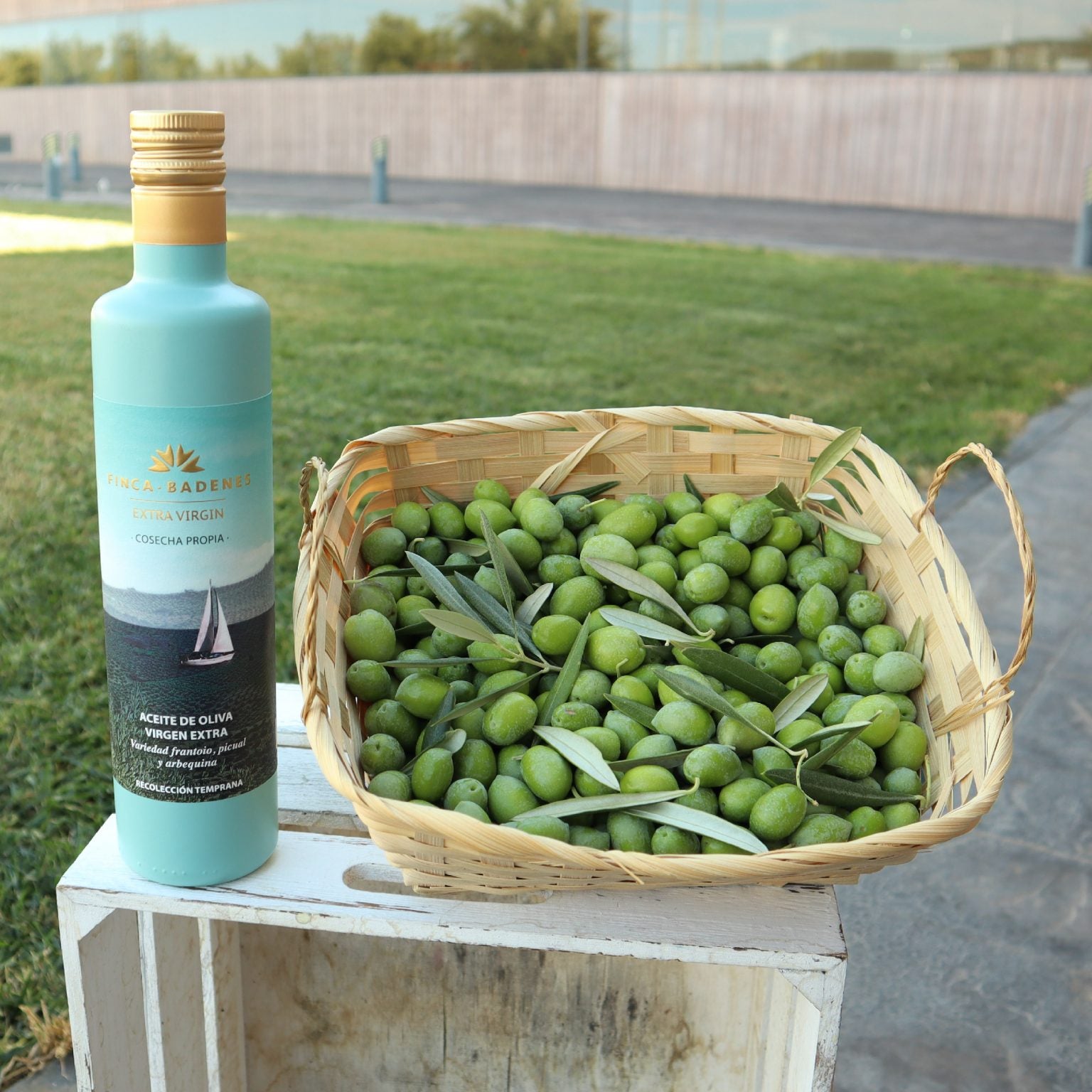 Huile d'Olive Vierge Extra AIRES Finca Badenes - 500mL